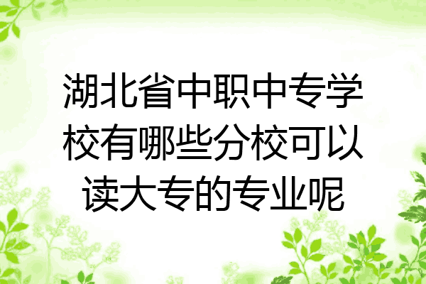 湖北省中职中专学校有哪些分校可以读大专的专业呢