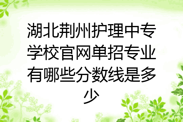 湖北荆州护理中专学校官网单招专业有哪些分数线是多少