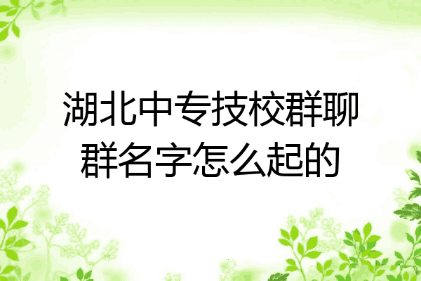湖北中专技校群聊群名字怎么起的
