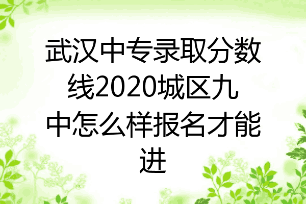 武汉中专录取分数线2020城区九中怎么样报名才能进
