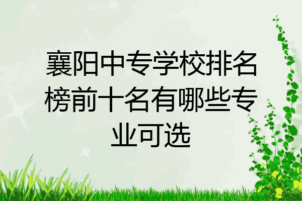 襄阳中专学校排名榜前十名有哪些专业可选
