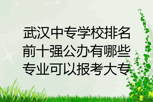 武汉中专学校排名前十强公办有哪些专业可以报考大专
