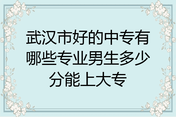 武汉市好的中专有哪些专业男生多少分能上大专