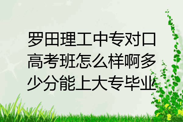 罗田理工中专对口高考班怎么样啊多少分能上大专毕业