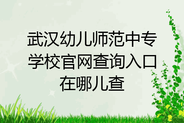 武汉幼儿师范中专学校官网查询入口在哪儿查