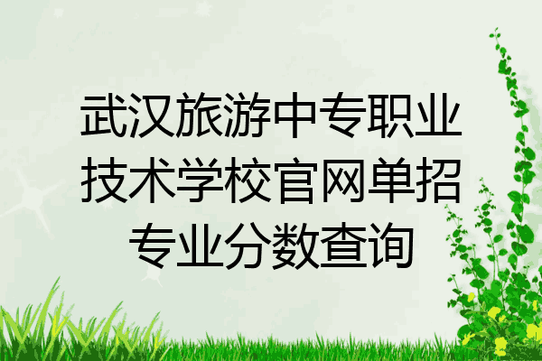 武汉旅游中专职业技术学校官网单招专业分数查询