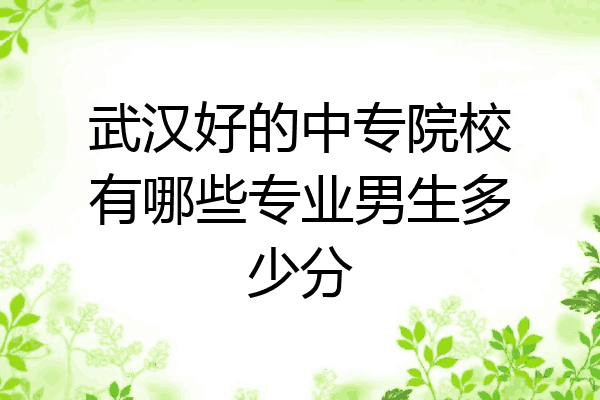 武汉好的中专院校有哪些专业男生多少分