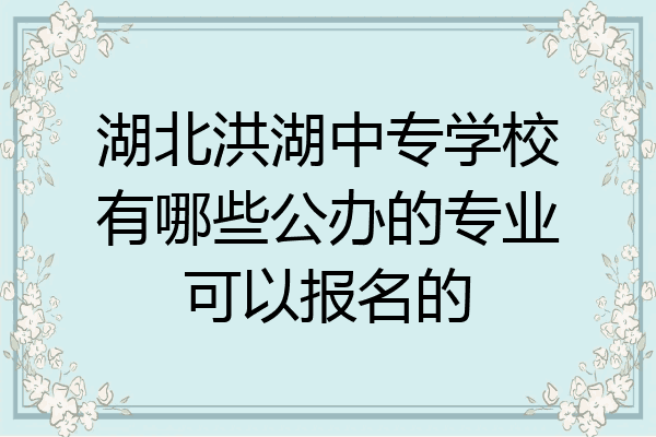 湖北洪湖中专学校有哪些公办的专业可以报名的