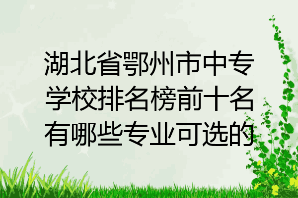 湖北省鄂州市中专学校排名榜前十名有哪些专业可选的