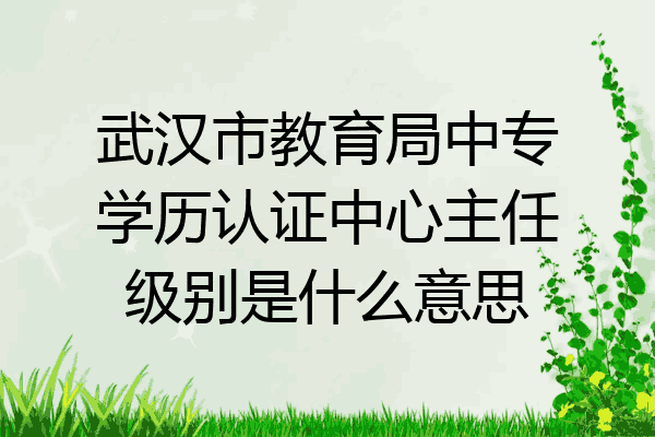 武汉市教育局中专学历认证中心主任级别是什么意思
