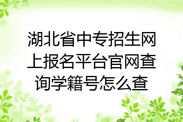 湖北省中专招生网上报名平台官网查询学籍号怎么查