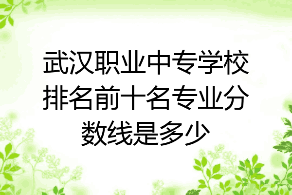 武汉职业中专学校排名前十名专业分数线是多少