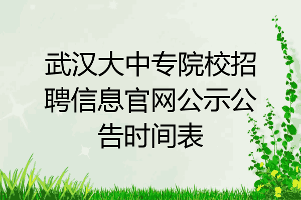武汉大中专院校招聘信息官网公示公告时间表