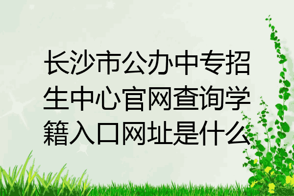 长沙市公办中专招生中心官网查询学籍入口网址是什么