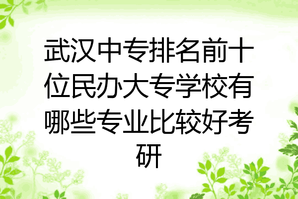 武汉中专排名前十位民办大专学校有哪些专业比较好考研