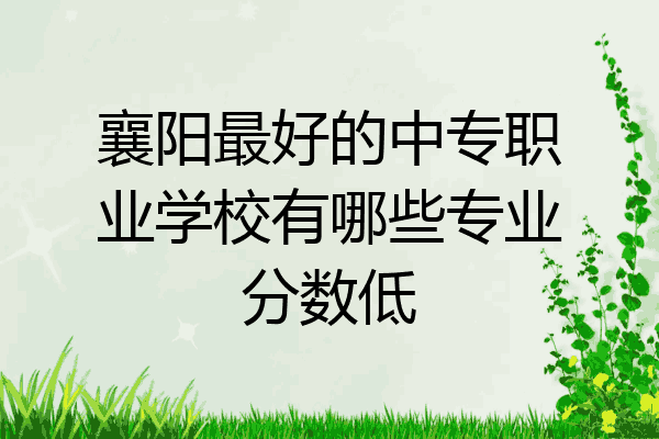 襄阳最好的中专职业学校有哪些专业分数低