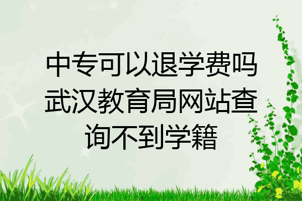中专可以退学费吗武汉教育局网站查询不到学籍