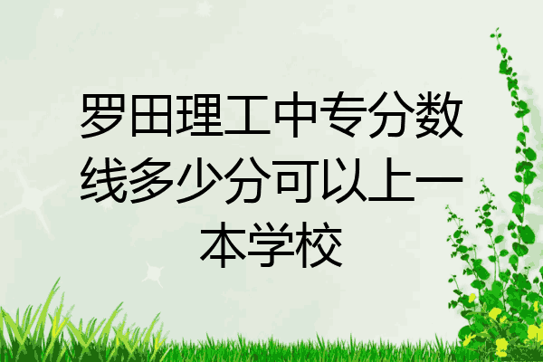 罗田理工中专分数线多少分可以上一本学校