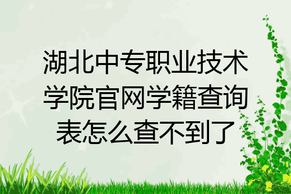 湖北中专职业技术学院官网学籍查询表怎么查不到了