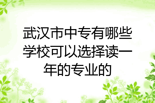 武汉市中专有哪些学校可以选择读一年的专业的