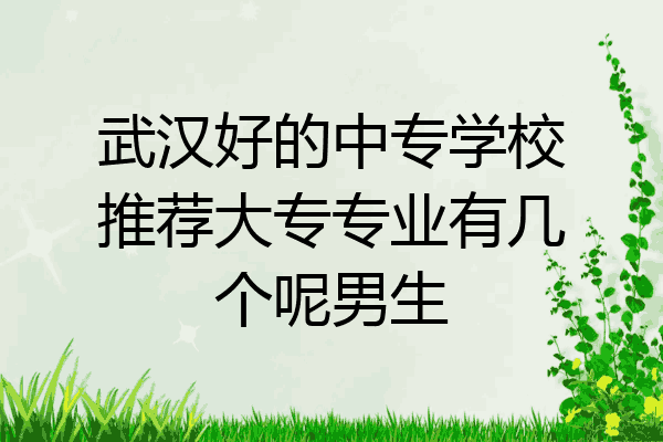 武汉好的中专学校推荐大专专业有几个呢男生