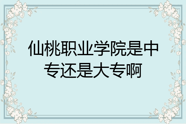 仙桃职业学院是中专还是大专啊