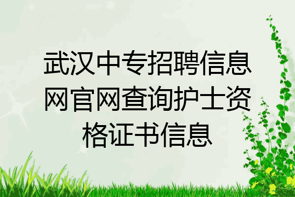 武汉中专招聘信息网官网查询护士资格证书信息