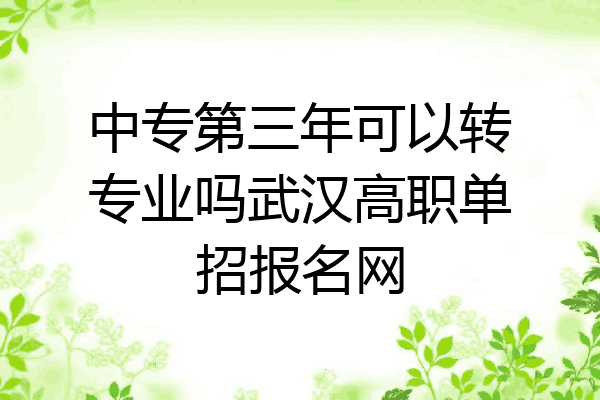 中专第三年可以转专业吗武汉高职单招报名网