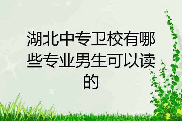 湖北中专卫校有哪些专业男生可以读的