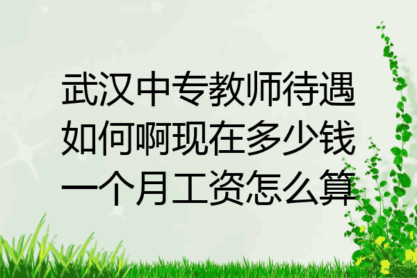 武汉中专教师待遇如何啊现在多少钱一个月工资怎么算