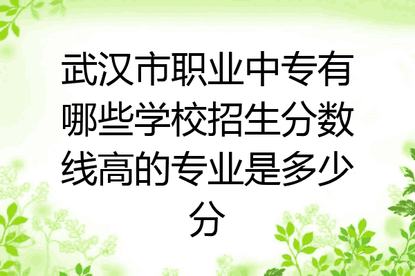 武汉市职业中专有哪些学校招生分数线高的专业是多少分