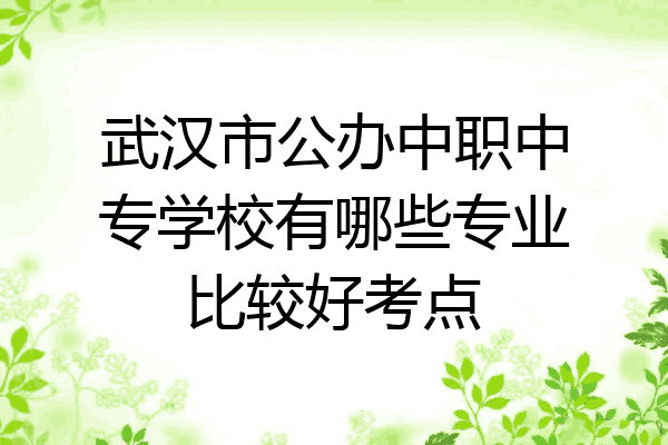 武汉市公办中职中专学校有哪些专业比较好考点
