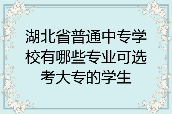 湖北省普通中专学校有哪些专业可选考大专的学生