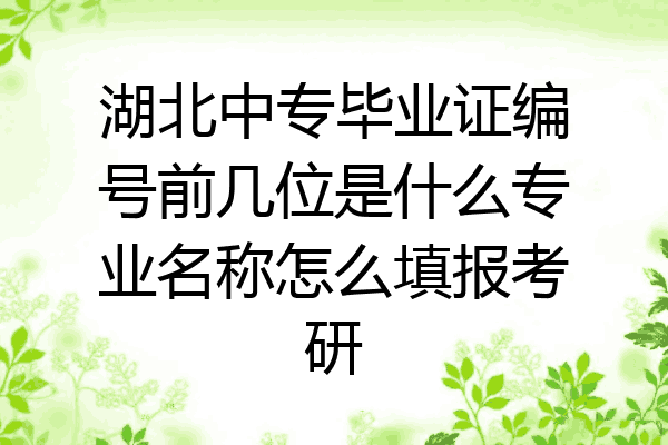 湖北中专毕业证编号前几位是什么专业名称怎么填报考研