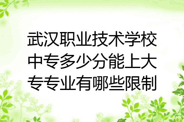 武汉职业技术学校中专多少分能上大专专业有哪些限制