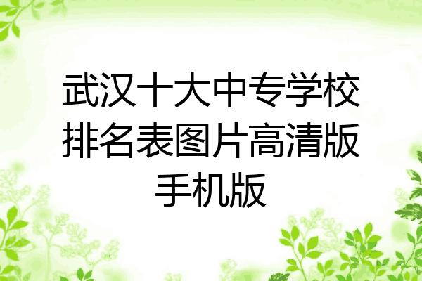 武汉十大中专学校排名表图片高清版手机版