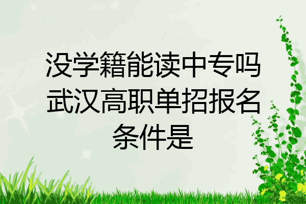 没学籍能读中专吗武汉高职单招报名条件是