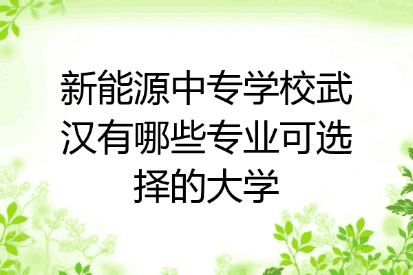 新能源中专学校武汉有哪些专业可选择的大学