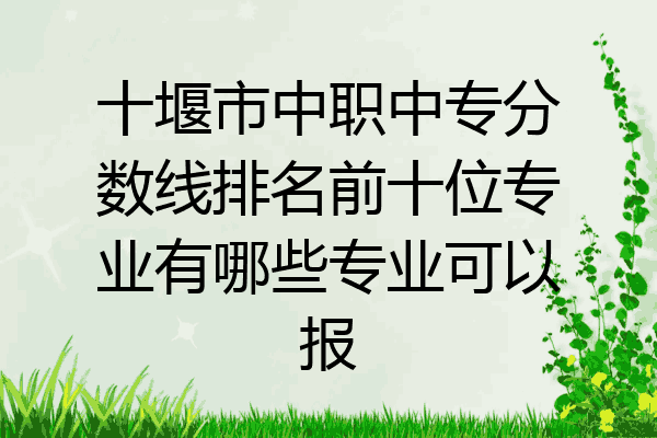 十堰市中职中专分数线排名前十位专业有哪些专业可以报