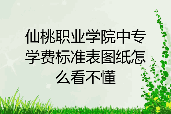 仙桃职业学院中专学费标准表图纸怎么看不懂