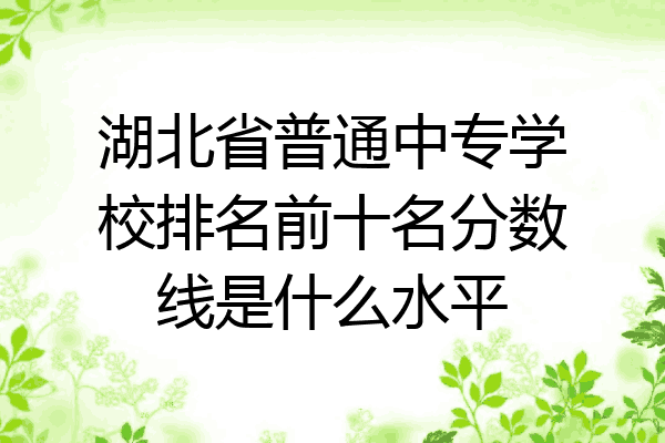 湖北省普通中专学校排名前十名分数线是什么水平