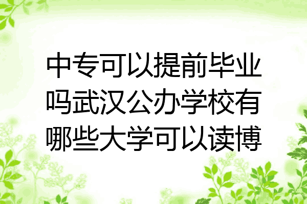 中专可以提前毕业吗武汉公办学校有哪些大学可以读博