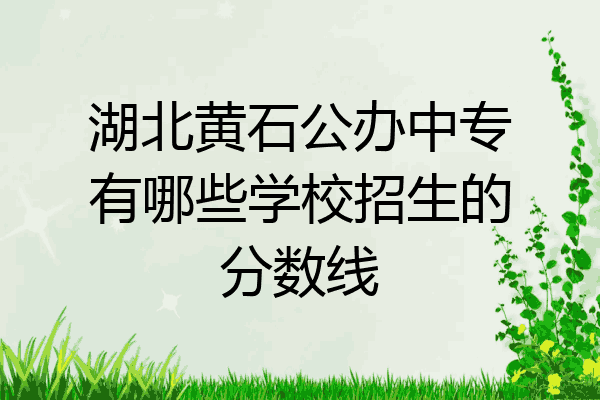 湖北黄石公办中专有哪些学校招生的分数线