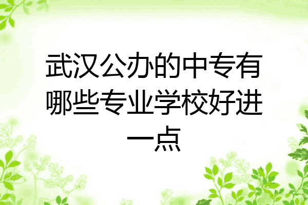 武汉公办的中专有哪些专业学校好进一点