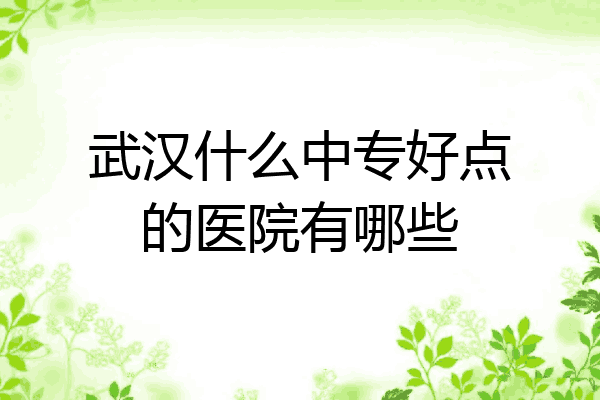 武汉什么中专好点的医院有哪些