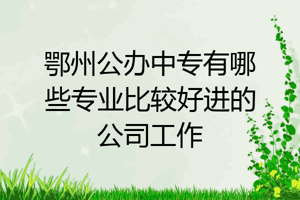 鄂州公办中专有哪些专业比较好进的公司工作