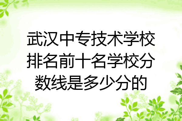 武汉中专技术学校排名前十名学校分数线是多少分的