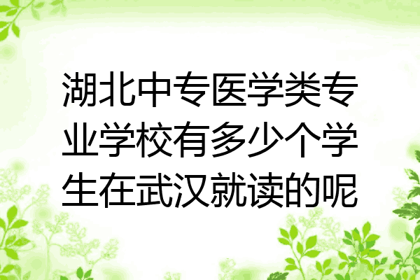 湖北中专医学类专业学校有多少个学生在武汉就读的呢