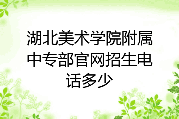 湖北美术学院附属中专部官网招生电话多少