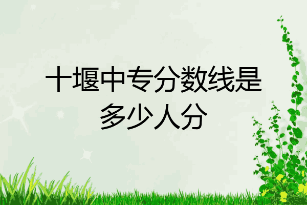 十堰中专分数线是多少人分